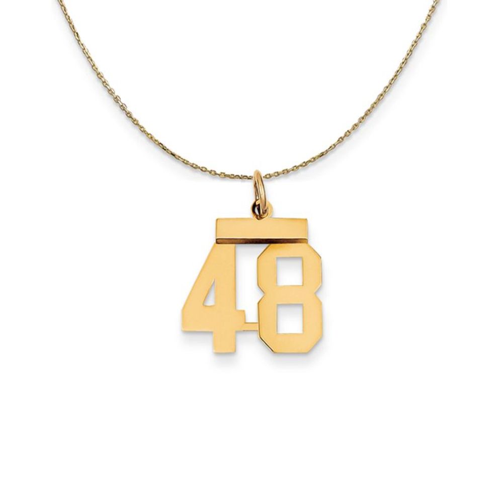 14k Yellow Gold, Athletic, Sm Polished Number 48 Necklace - 18 Inch